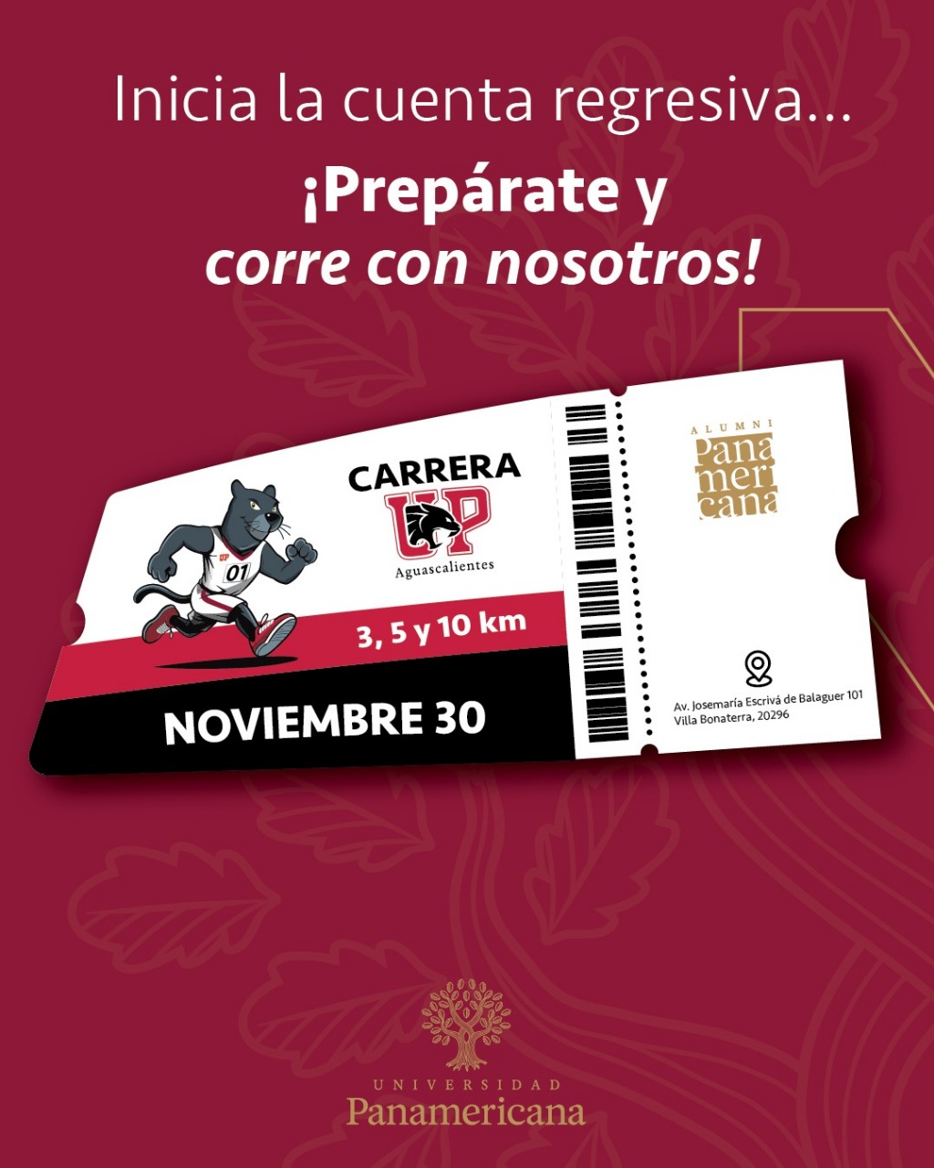 CARRERA UP 2025