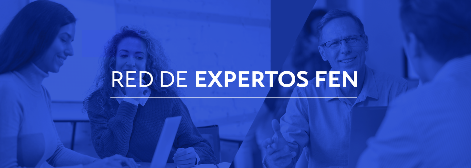 Red de Expertos FEN