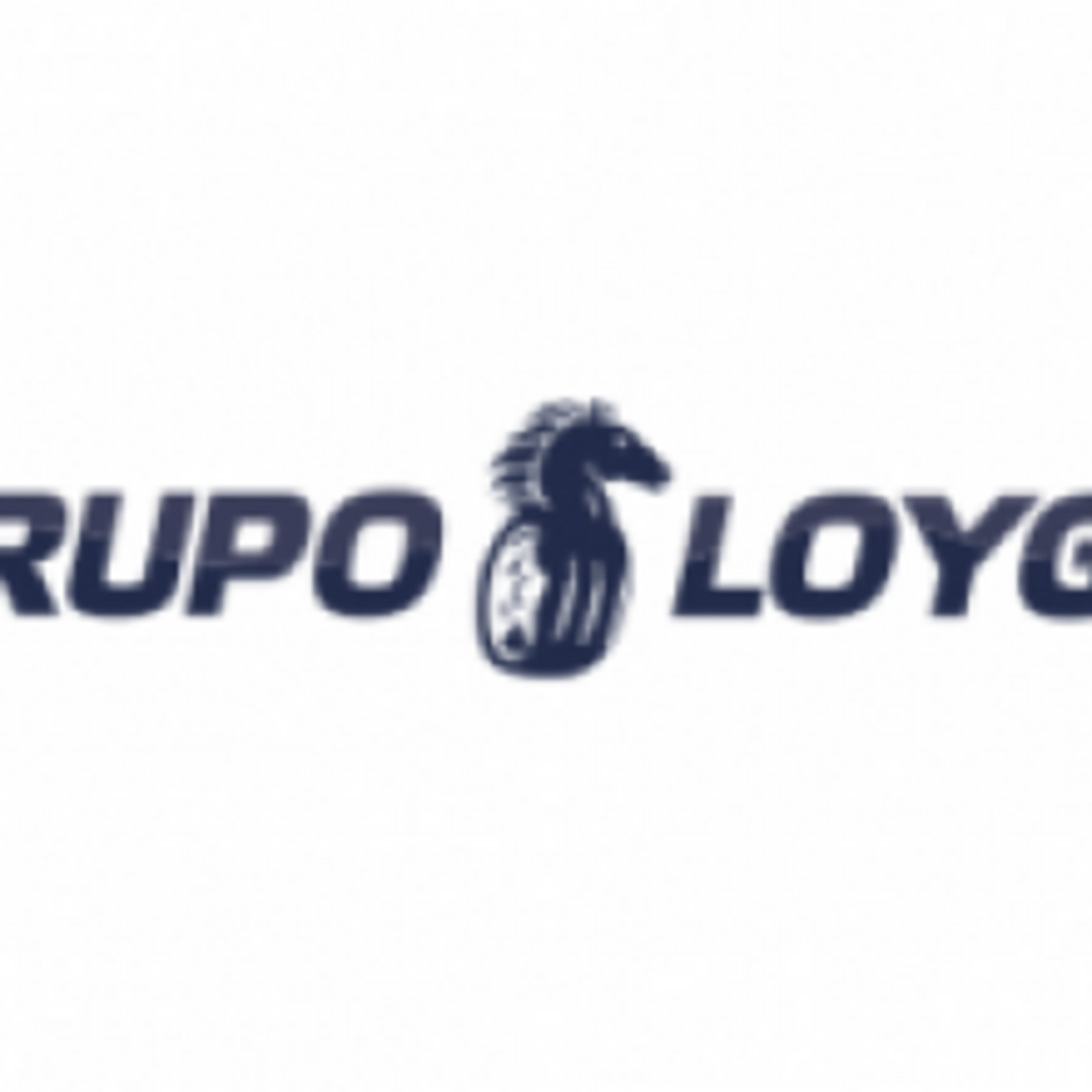 GRUPO LOYGA