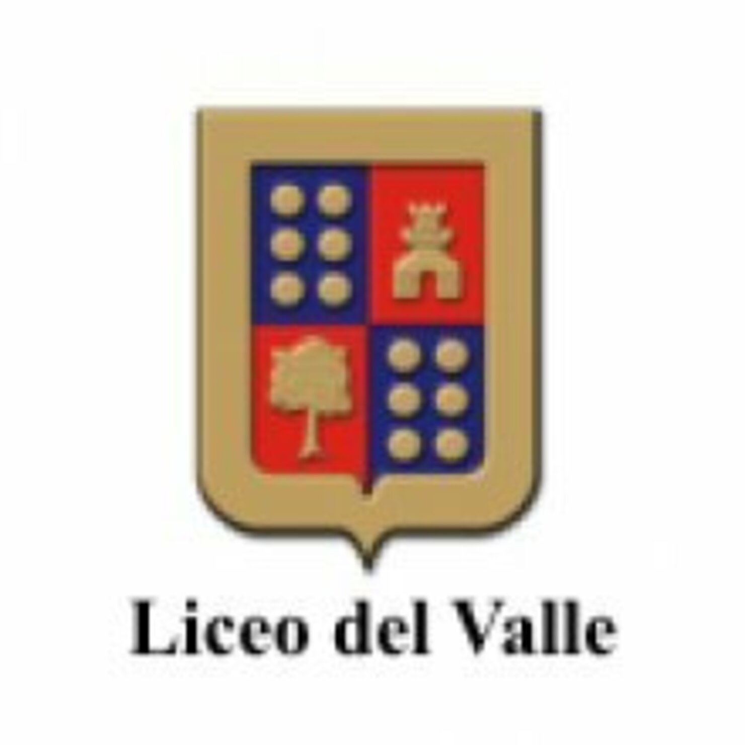 LICEO DEL VALLE