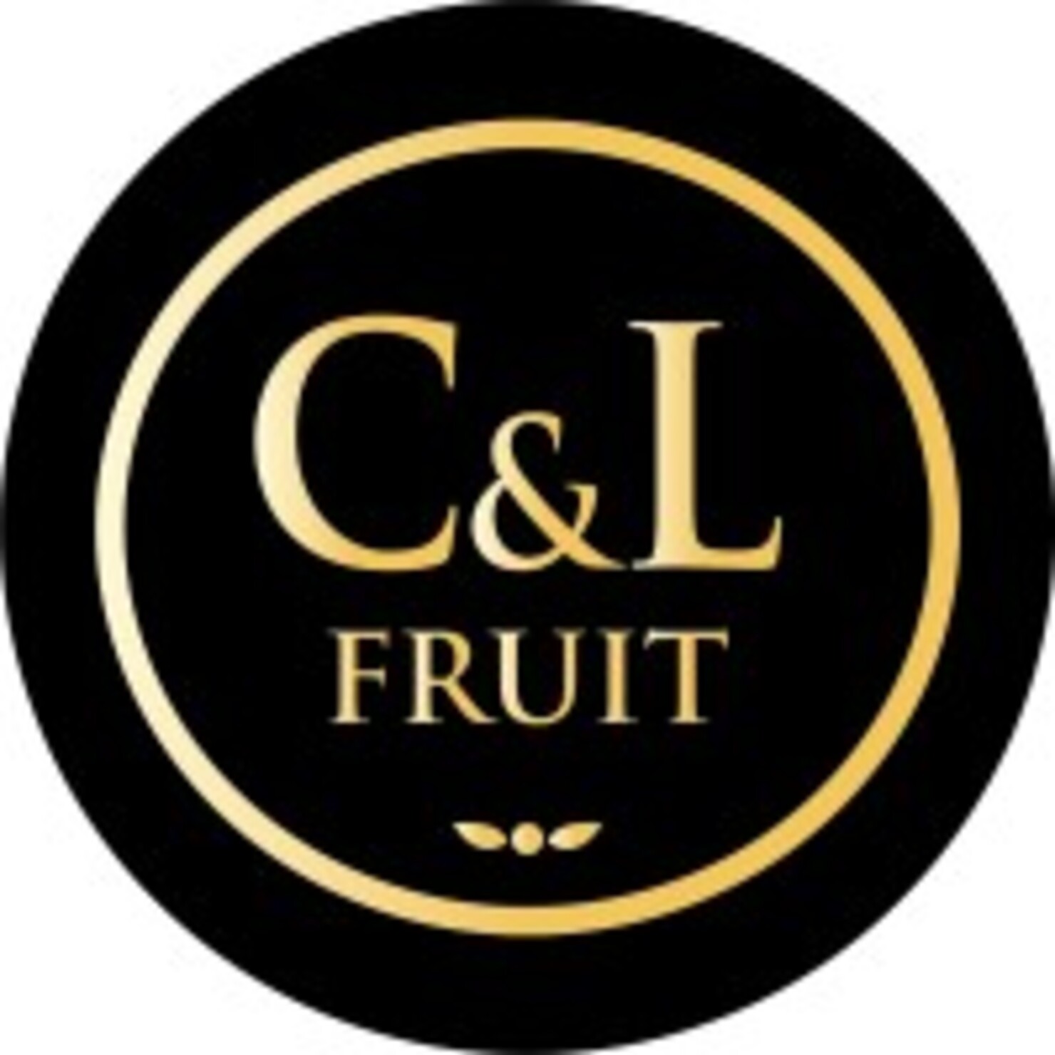 VISITA  EMPRESA C&L FRUIT
