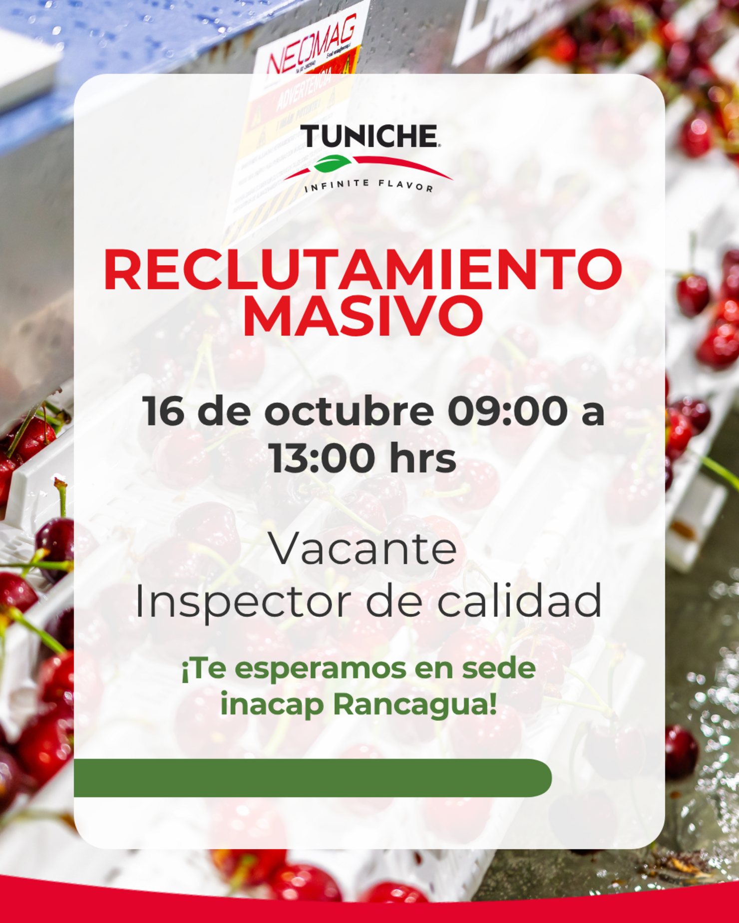 Reclutamiento Empresa Tuniche Fruits