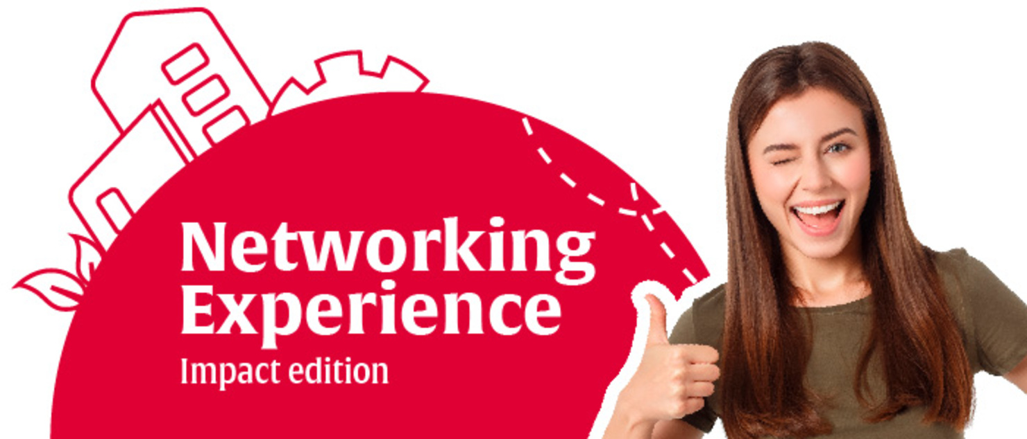 Networking Experience. Impact Edition