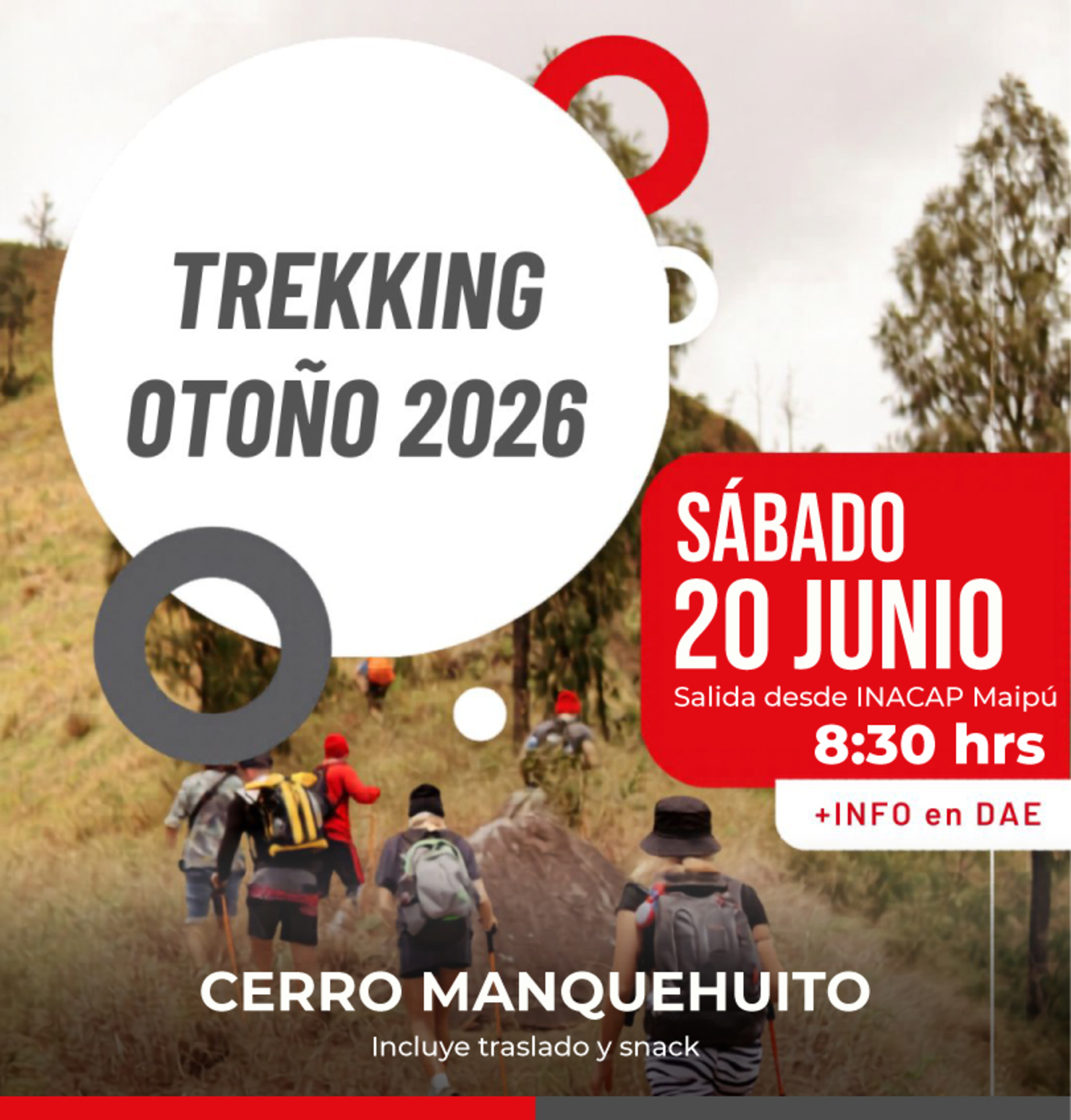 Trekking: Cerro Manquehuito