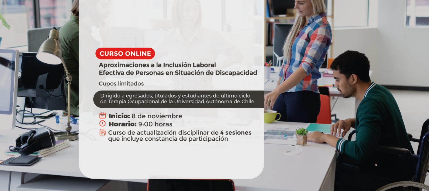Aproximaciones a la Inclusión Laboral Efectiva de Personas en Situación de Discapacidad