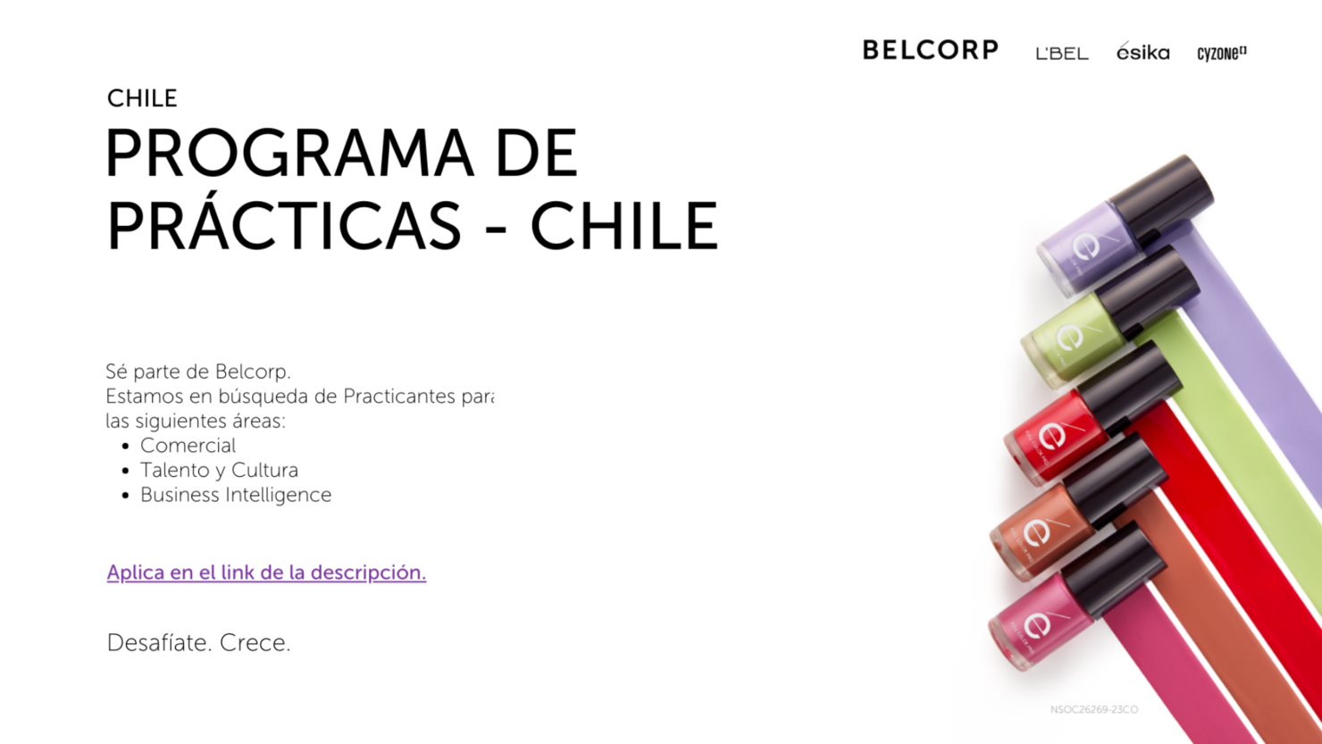 Convocatoria Programa de Prácticas - Berlcorp Chile