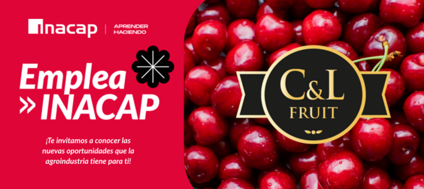 C&L Fruit visita sede Rancagua