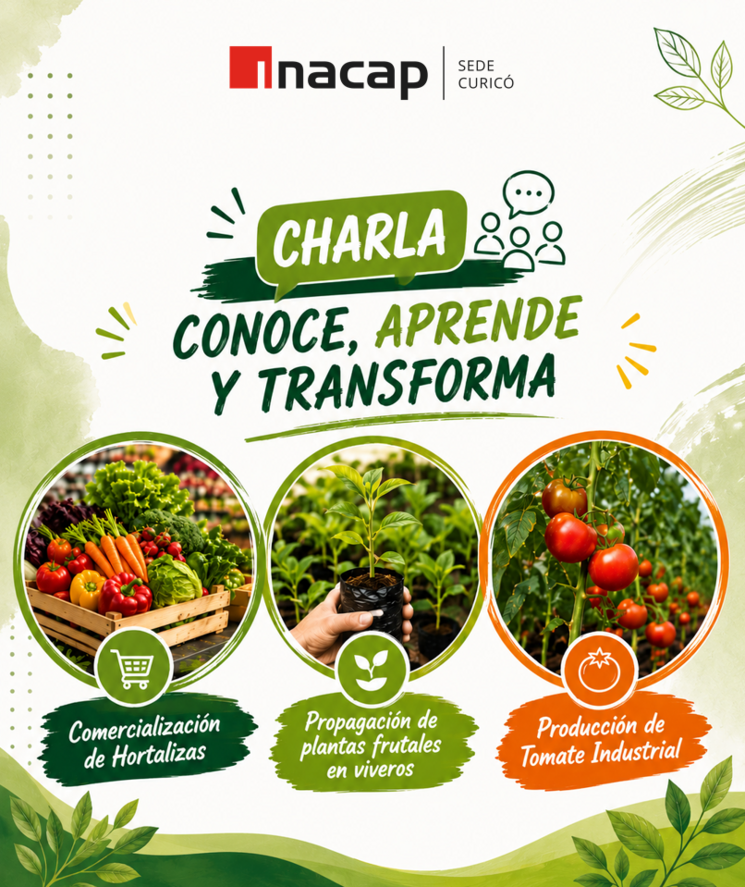 Charla Conoce, Aprende y Transforma - Área Agroindustria y Medioambiente