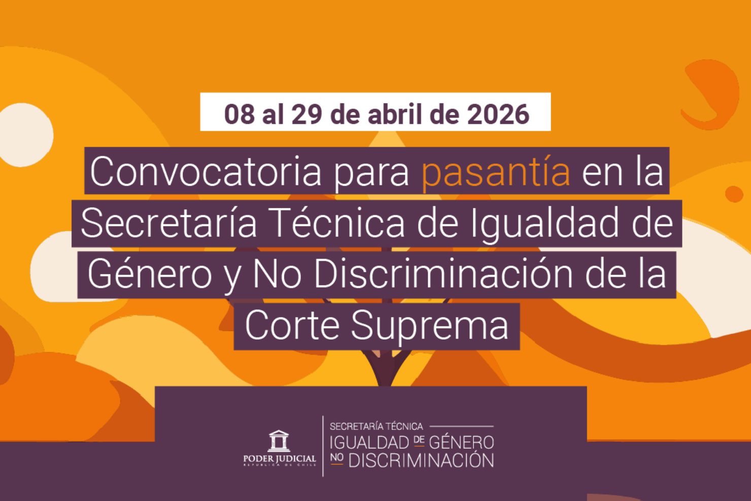 Pasantía 2026 - Poder Judicial