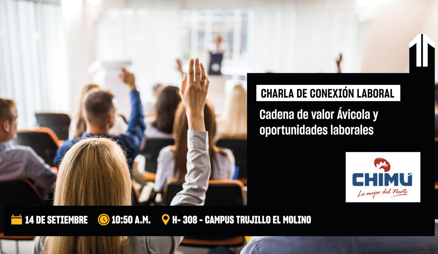 Cadena de valor Ávicola y oportunidades laborales