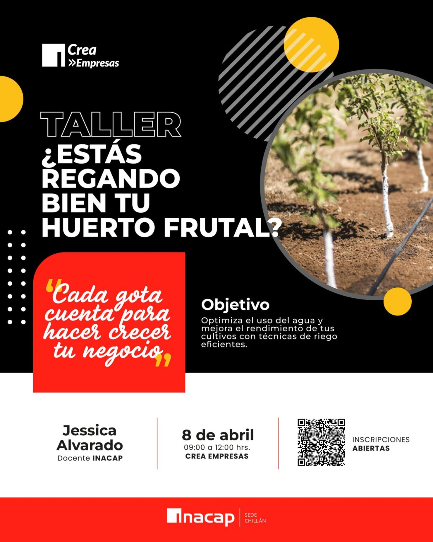 🌱💧 Taller de Riego: ¿Cómo comprobar si estoy regando bien mi huerto frutal? 🍎🌿