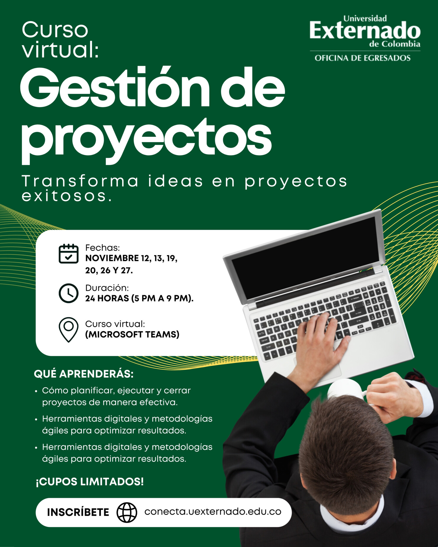 Curso virtual: Gestión de proyectos