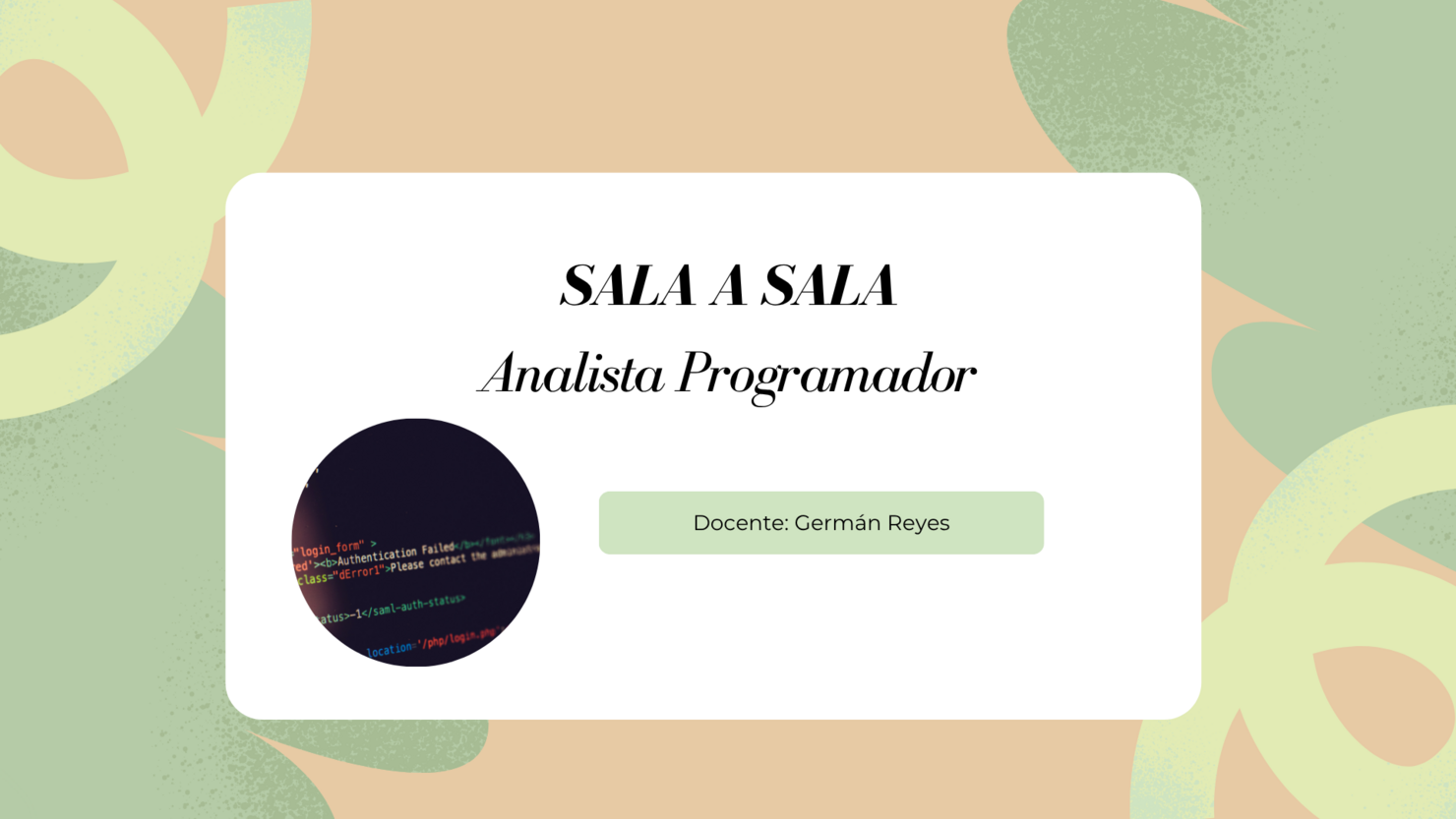 Sala a sala Analista Programador