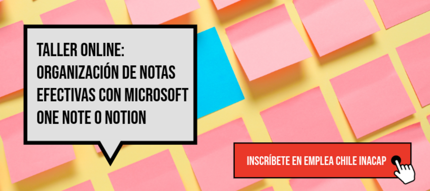 Organización notas efectivas con Microsoft One Note o Notion