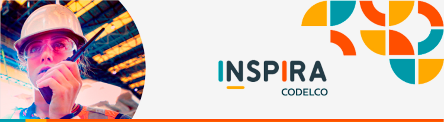 Programa Inspira 2026