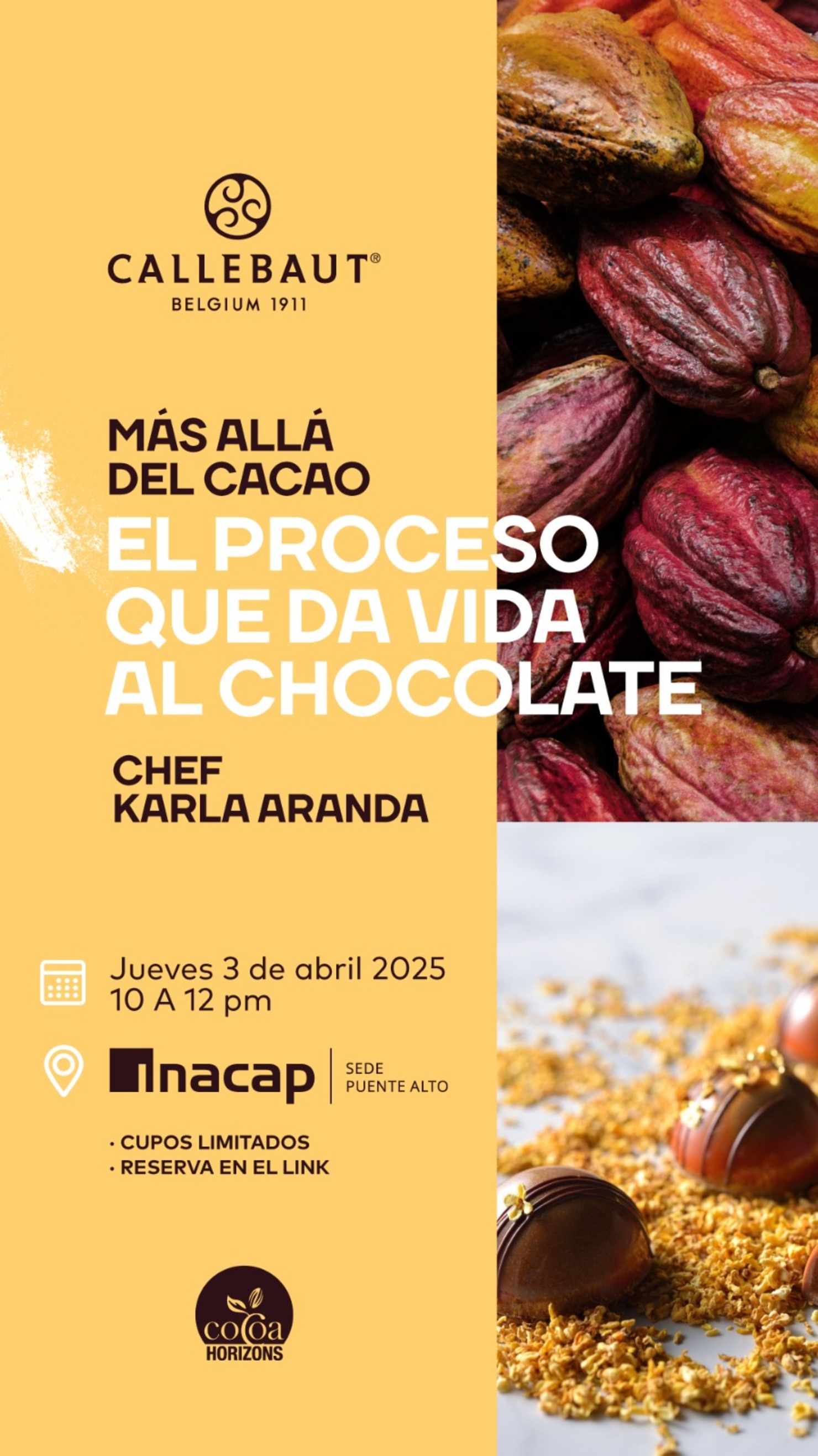 Más allá del cacao: El proceso que da vida al chocolate