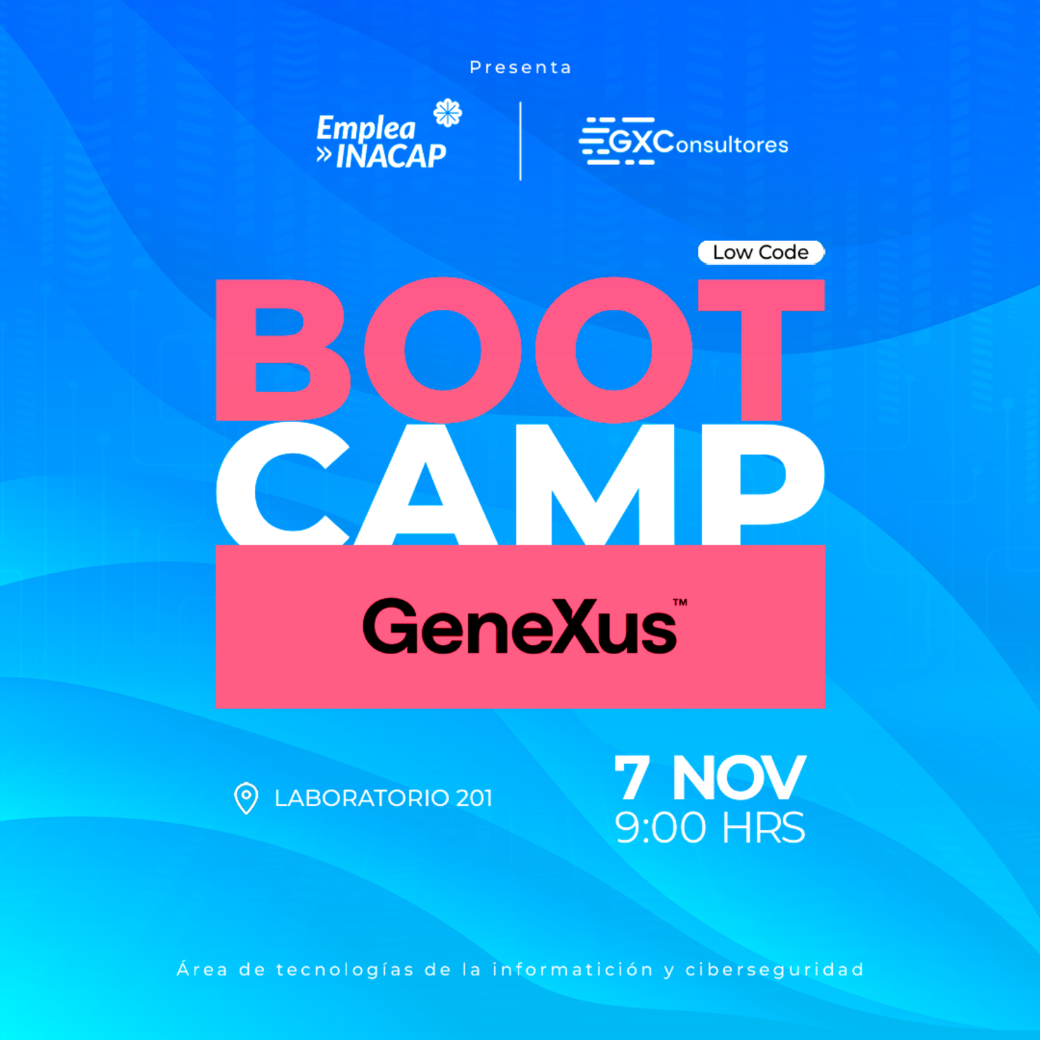 Taller Boot Camp