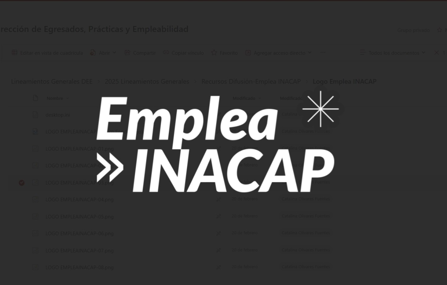 Perfil EMPLEA y asesorías laborales