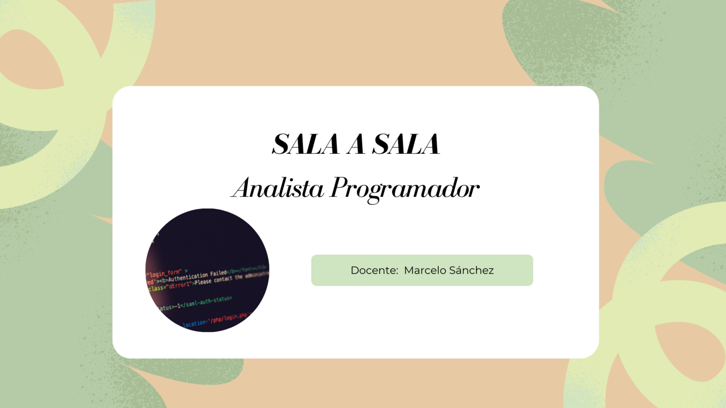 Sala a sala Analista Programador
