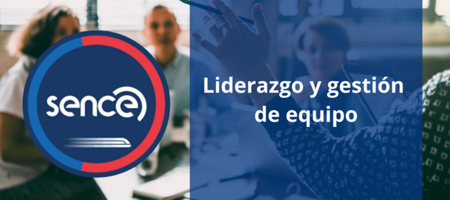 Liderazgo Y Gestión De Equipos