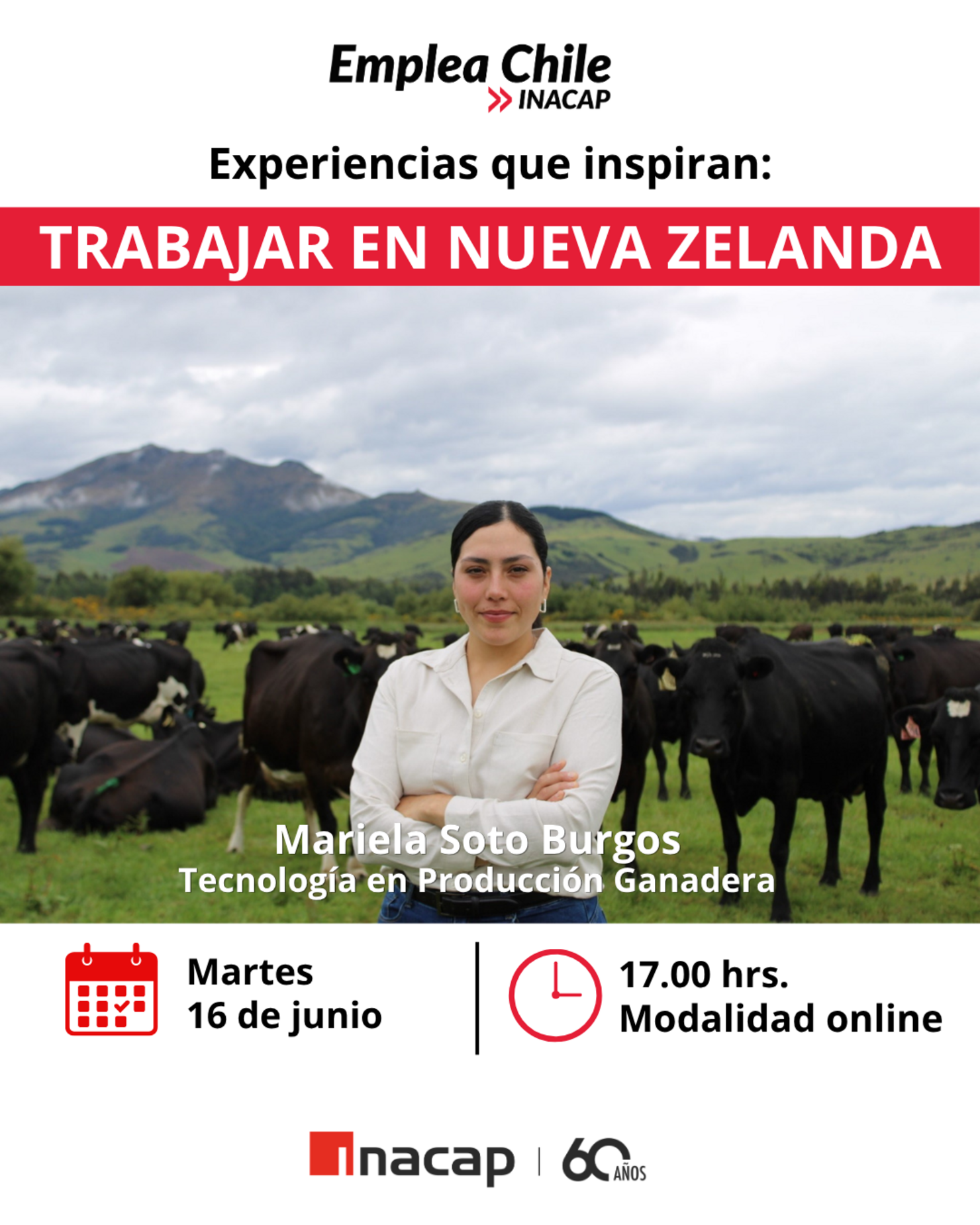 Experiencias que inspiran: Trabajar en Nueva Zelanda
