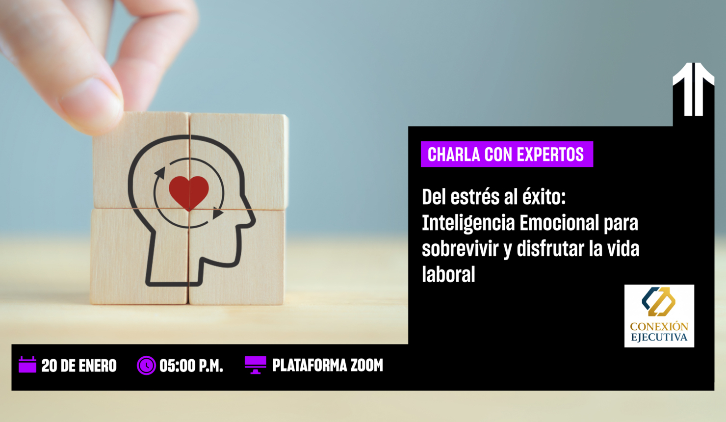 Del estrés al éxito: Inteligencia Emocional para sobrevivir y disfrutar la vida laboral