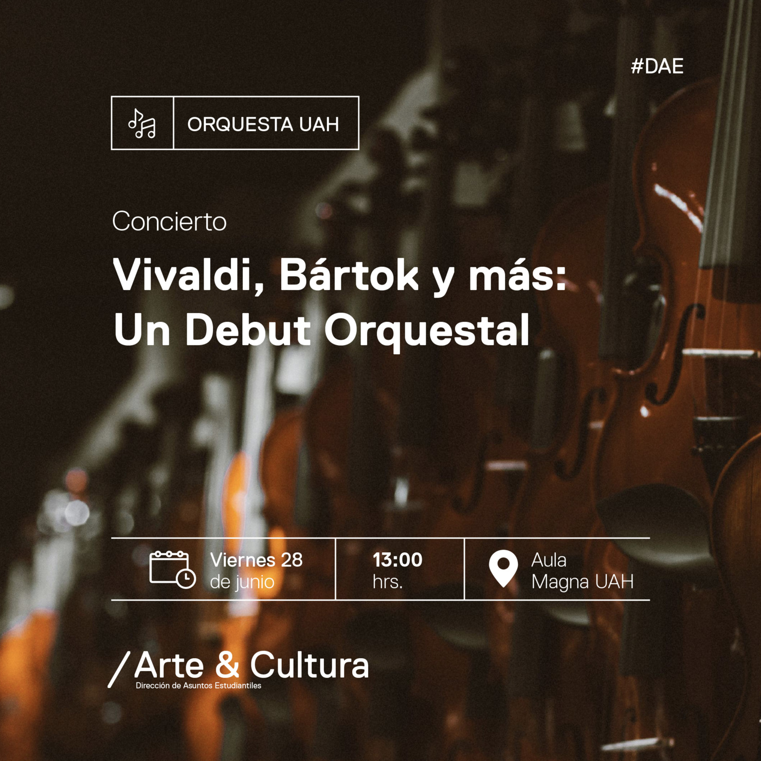 Concierto "Vivaldi, Bártok y más: Un debut orquestal"