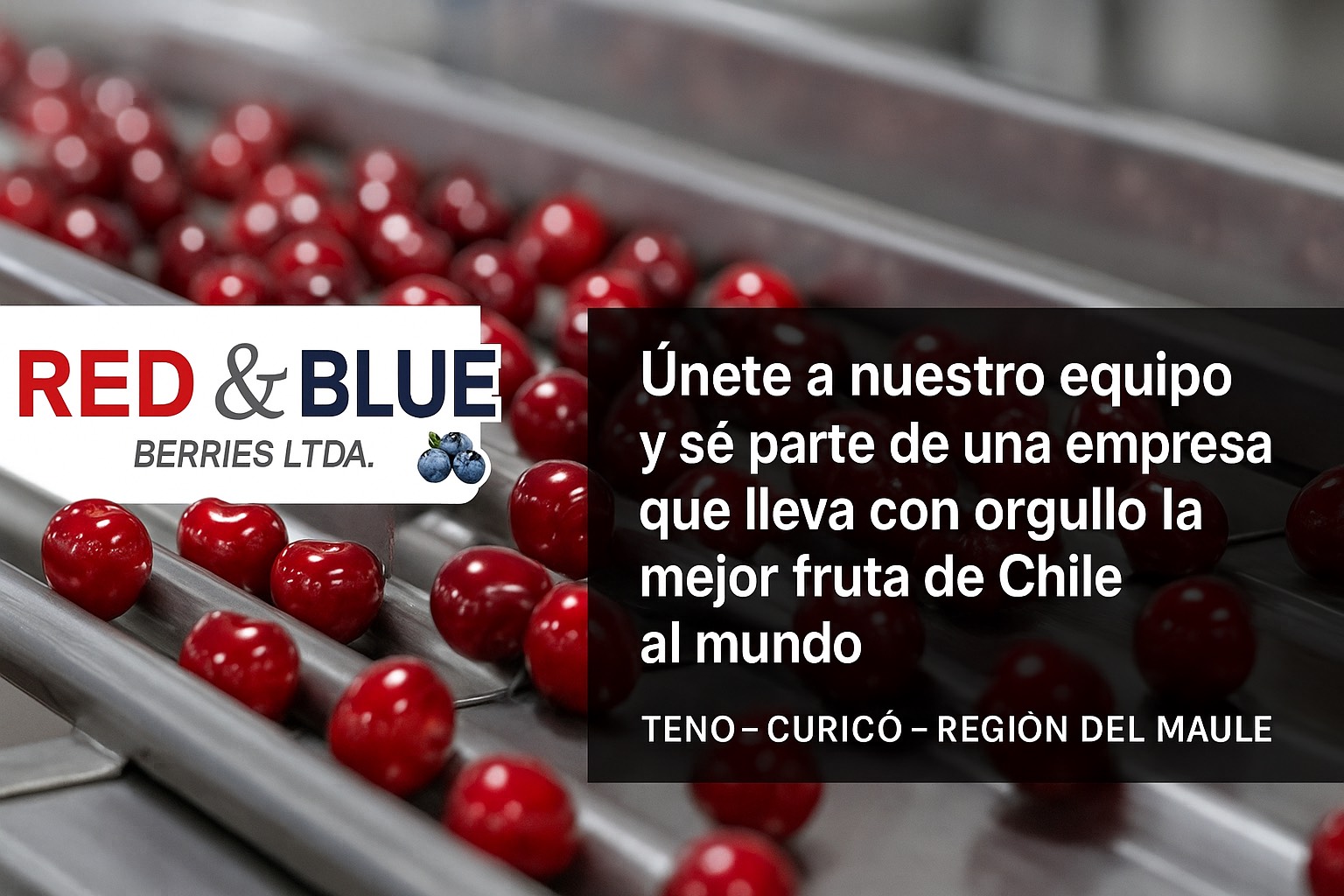 RED AND BLUE BERRIES LTDA