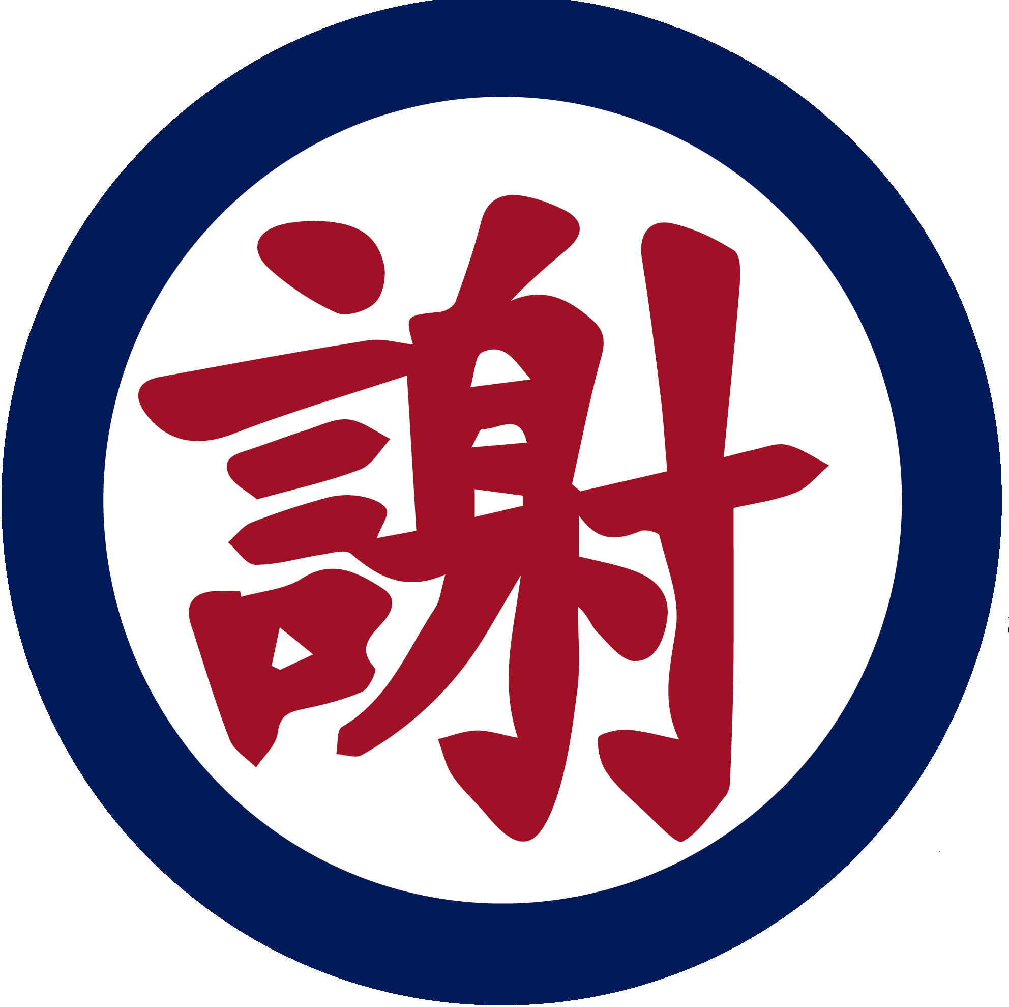 CHIAMEDRANO SERVICIOS COMPANIA LIMITADA