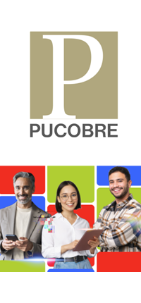 SOC PUNTA DEL COBRE S A