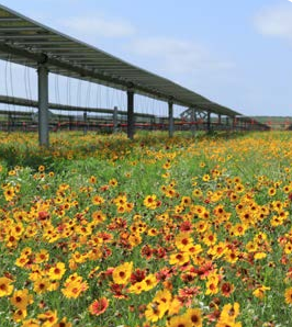 RES ENERGY SERVICES SPA