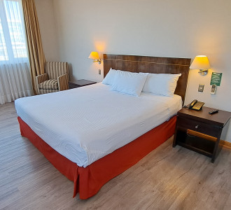 HOTELERA DIEGO DE ALMAGRO LTDA. (Lomas verdes)