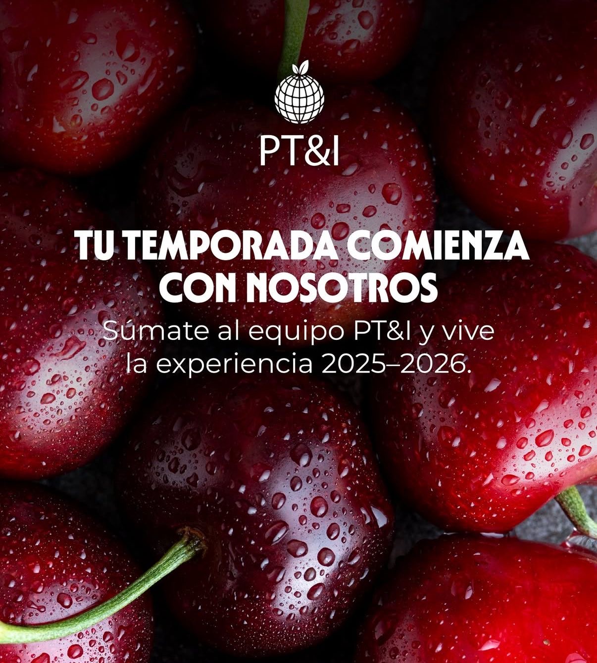 PT&I CHILE