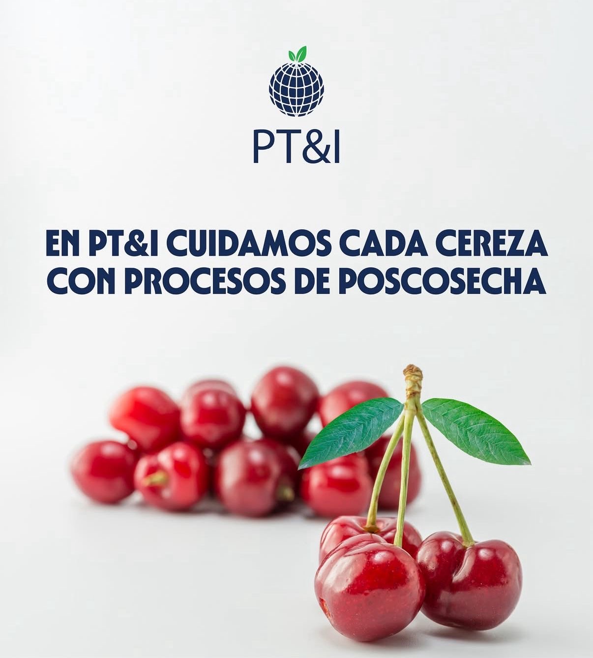 Postharvest technology and innovation