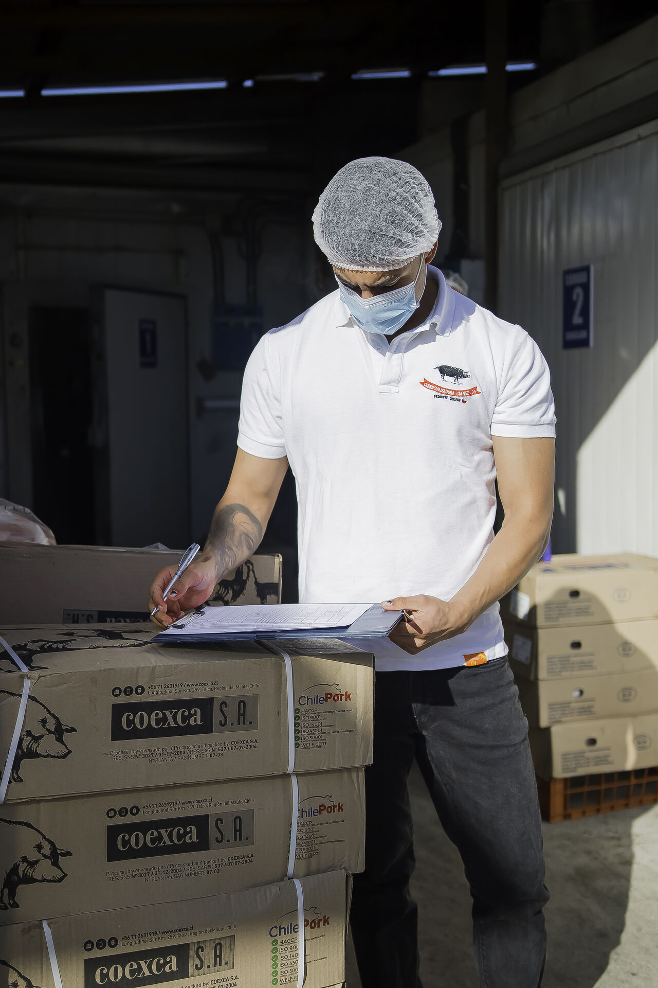 Comercializadora Galvez ltda 