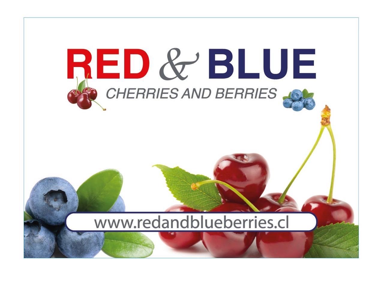 RED AND BLUE BERRIES LTDA