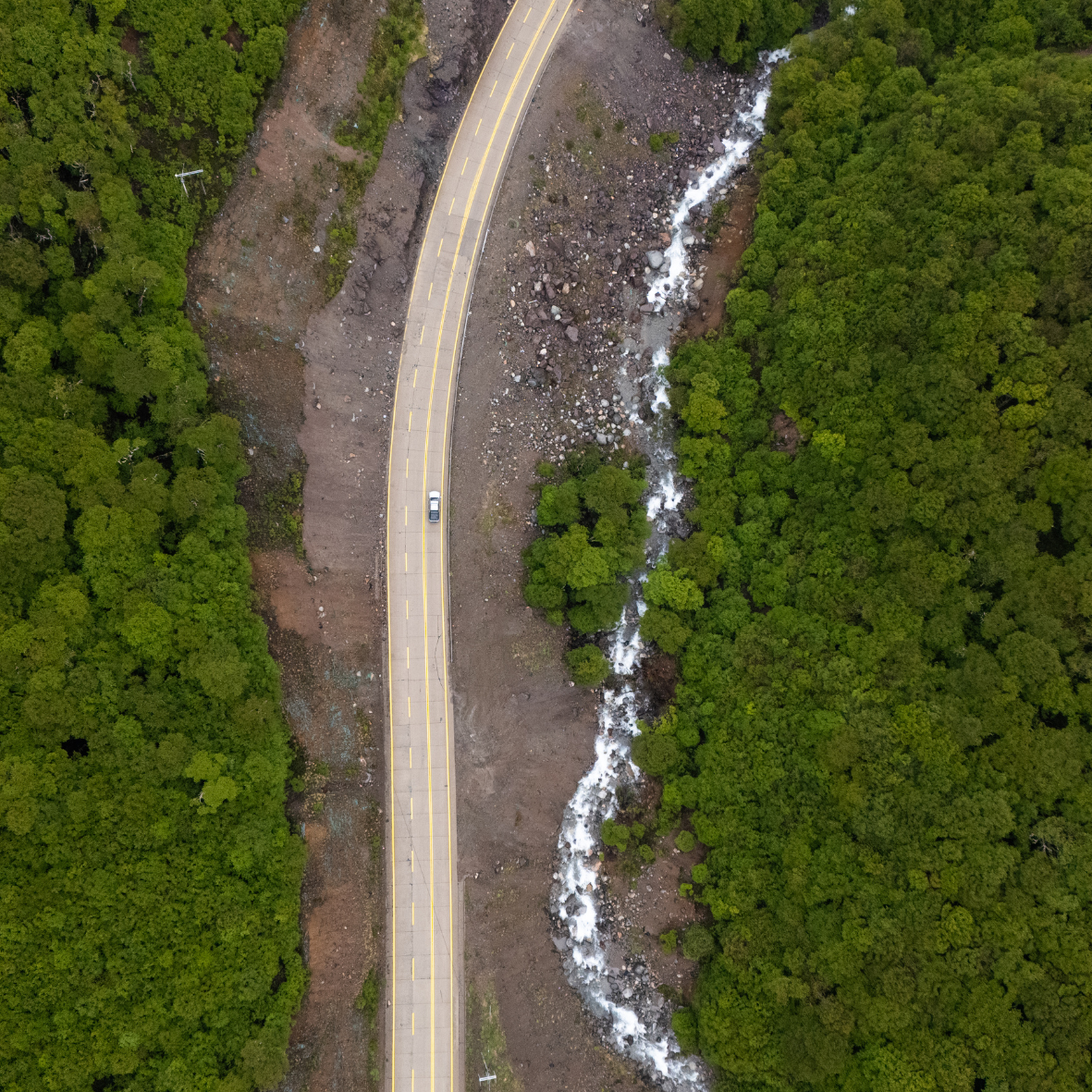 The Shepherd Company