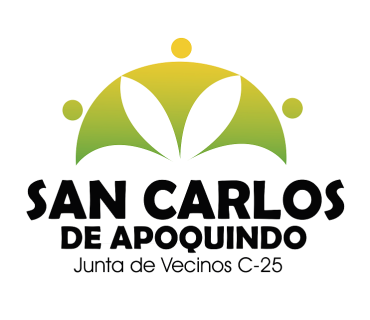 Ir al stand de Junta de Vecinos San Carlos de Apoquindo C-25