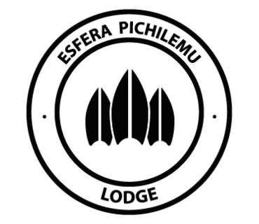 Ir al stand de Oeno Group Limitada