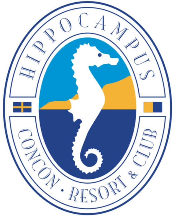 Servicios Compartidos SA