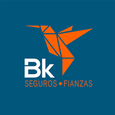 BENKO, AGENTE DE SEGUROS Y DE FIANZAS S.A. DE C.V.
