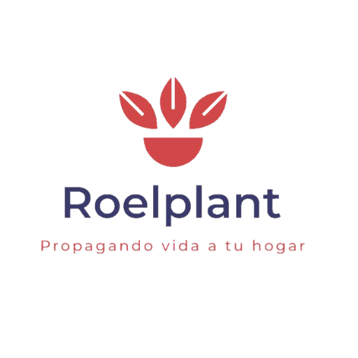 Plantinera VV ltda
