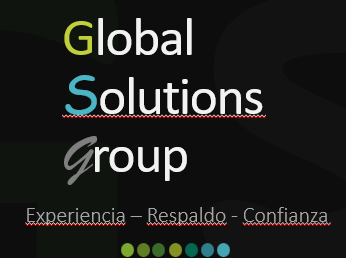 GLOBAL SOLUTIONS GROUP