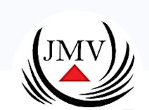 JMV CONSULTING SAS