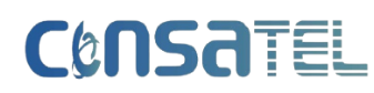 CONSATEL S.A.C.