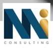 MI Consulting