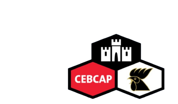 Distribuidora La Nueva, S.A