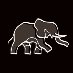 Grupo pata de elefante SA de CV