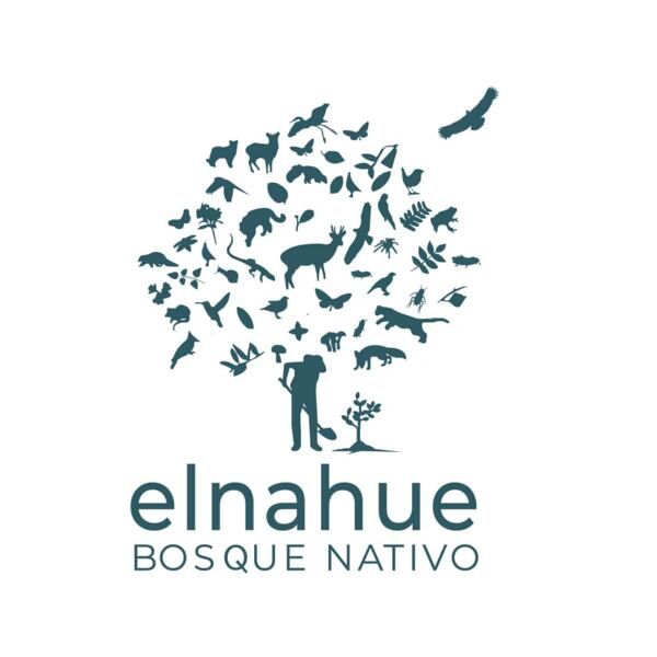 BOSQUE NATIVO ELNAHUE SPA