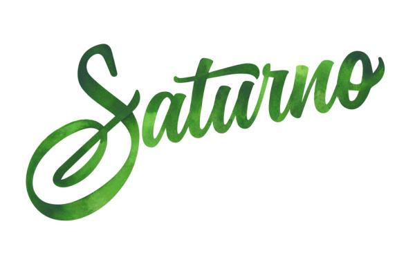 SOC AGROINDUSTRIAL SATURNO SPA